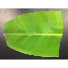 Banana leaves 5 leaves