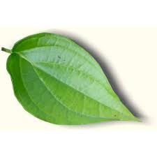 Betel Leaves Jasmine