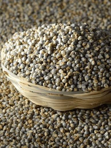 Shudh Pearl Millet Bajra 1Kg