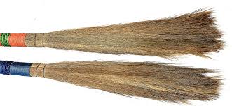 Broom Flower Jhadoo