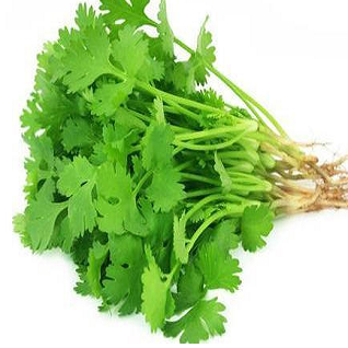 Coriander Leaves (Bunch)