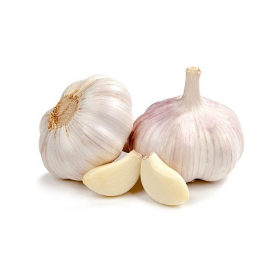 Fresh Garlic